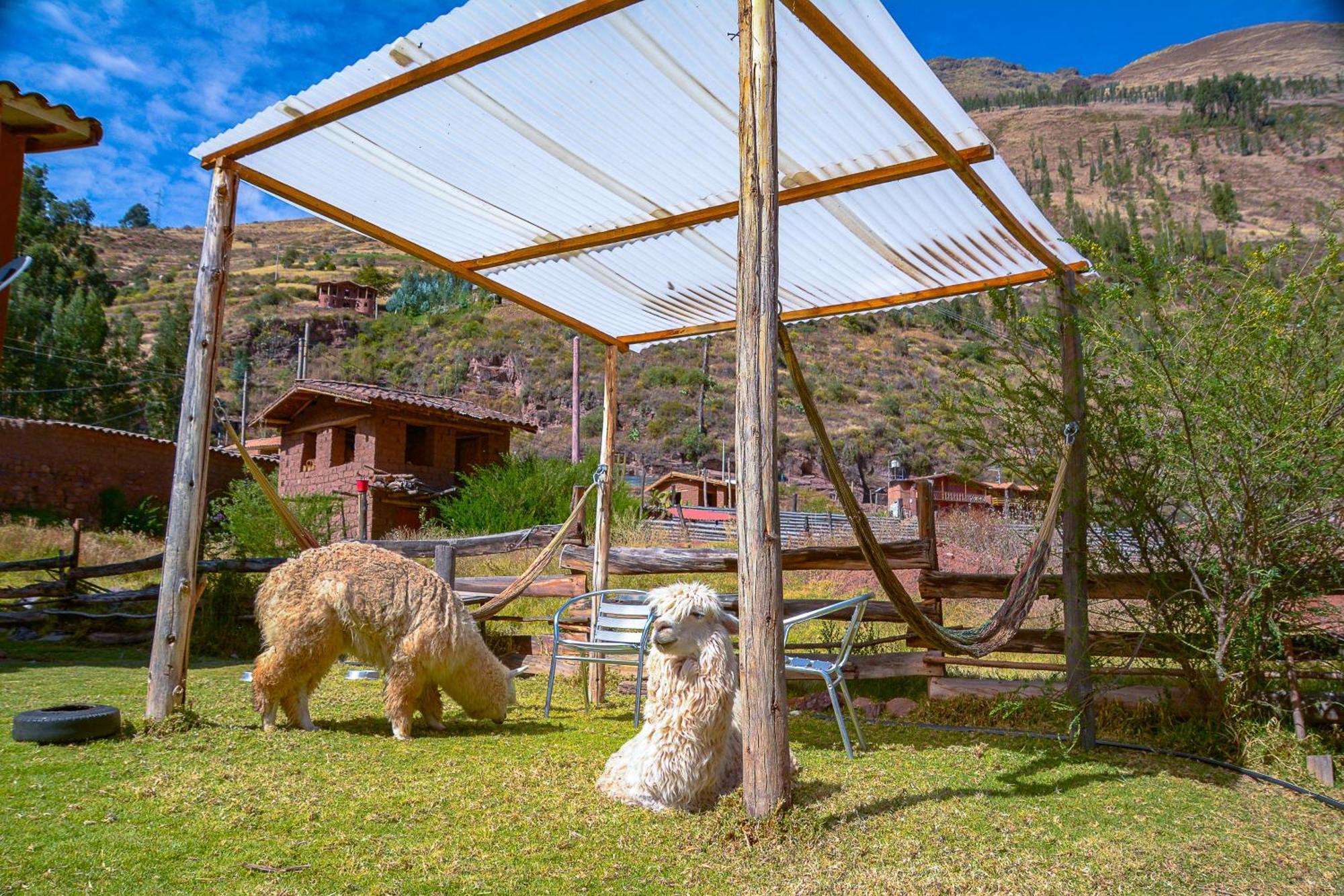 Manchitas Wasi Pisac